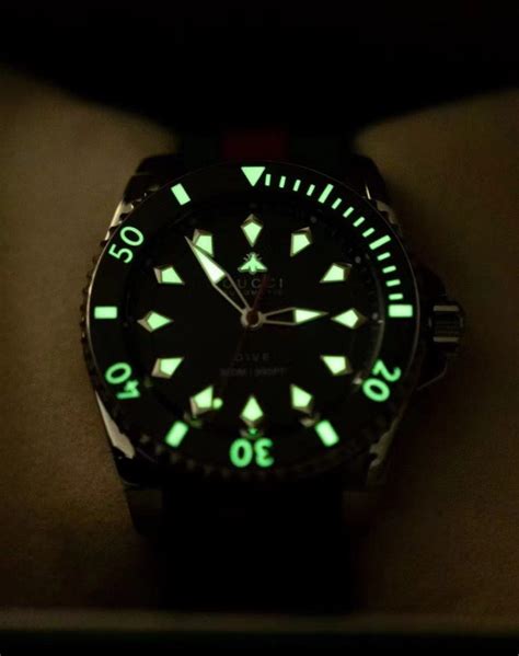 gucci dive replica